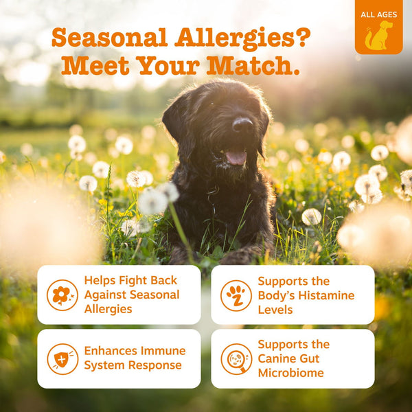 Zesty Paws Allergy & Immune, Salmon, 160 ct.