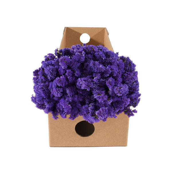 Statice, Purple (200 stems)
