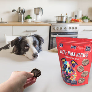 Irish Rover Brisket Jerky Recipe Oven Roasted Dog Treats, 48 oz.