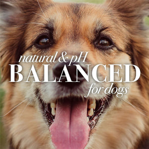 Burt's Bees, Oatmeal Dog Shampoo, 32 fl. oz., 2 pk.