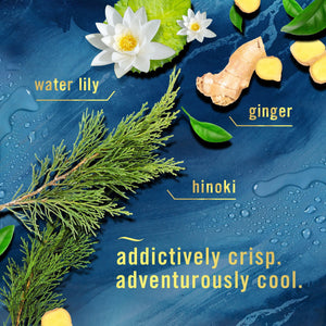 Febreze PLUG Scent Booster, Scented Oil Starter Kit, Warmer + 2 Refresh & Energize + 1 Ocean Refills