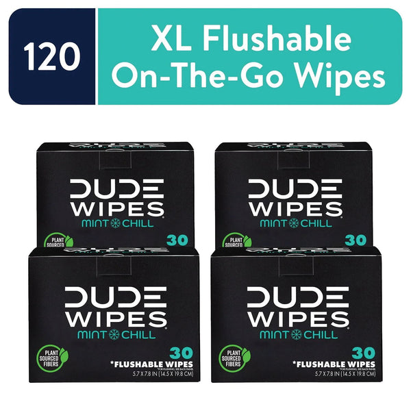 DUDE WIPES XL On-the-Go Flushable Wipes, Mint Chill, 4 ct., 120 wipes