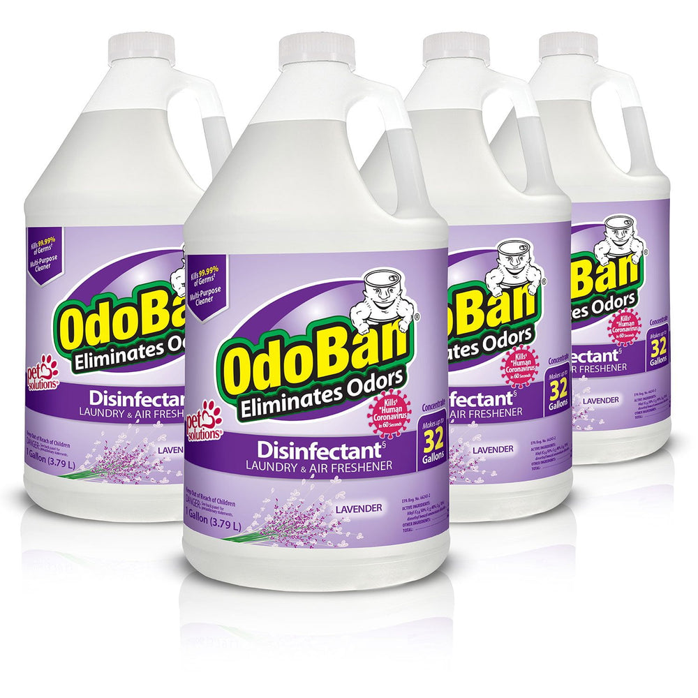 OdoBan Odor Eliminator and Disinfectant Concentrate, 1 gal., 4 pk., Lavender