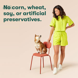 Jinx Homeamdes Variety Pack, Wet Dog Food Pack , 9 oz., 12 ct.