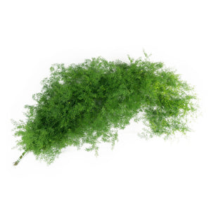 Member's Mark California Greens Sampler (10 bunches)