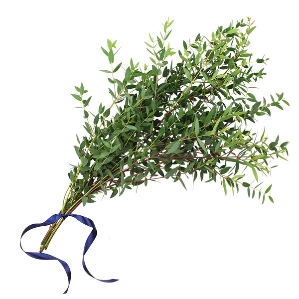 Member's Mark Assorted California Greens 20 bunches