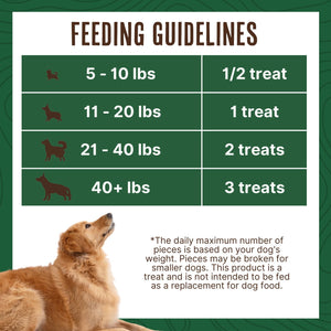 Waggin Train Chicken Jerky Tenders with Bone Broth & Turmeric, High Protein Dog Treats, 36 oz.