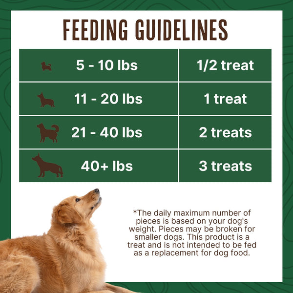 Waggin Train Chicken Jerky Tenders with Bone Broth & Turmeric, High Protein Dog Treats, 36 oz.