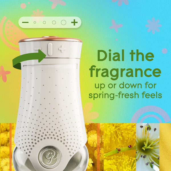 Glade PlugIns Scented Oil, Radiant Bloom, 2 Warmers + 6 Refills