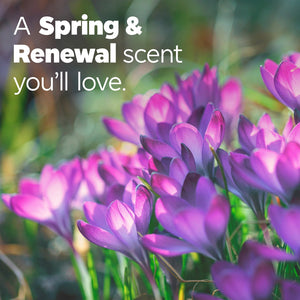 Tide Power PODS with Febreze Laundry Detergent Pacs, Spring & Renewal, 72 ct.