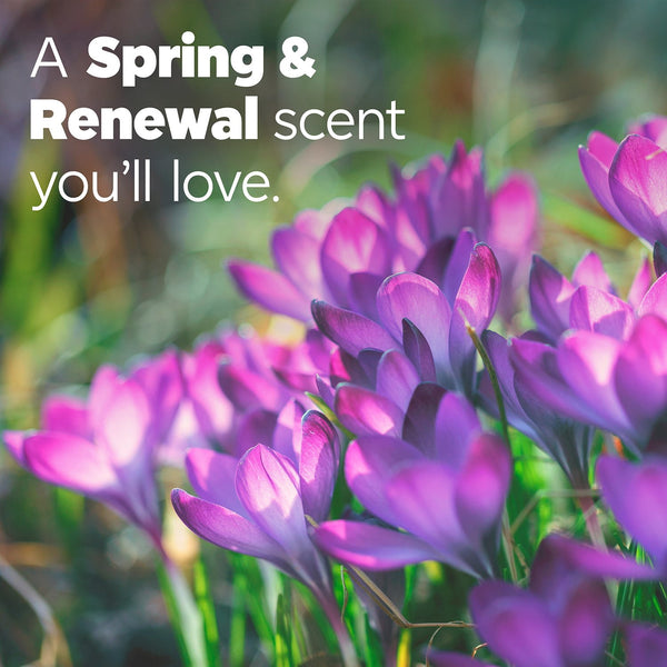 Tide Power PODS with Febreze Laundry Detergent Pacs, Spring & Renewal, 72 ct.