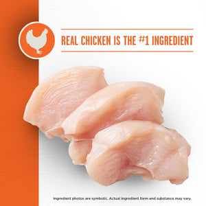 Member's Mark™ Prime Feast with Chicken + Salmon Dry Cat Food, 25 lbs.