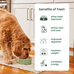 Freshpet Complete Nutrition Chicken Recipe Fresh Dog Food, 1.5 lb Rolls, 6 ct.