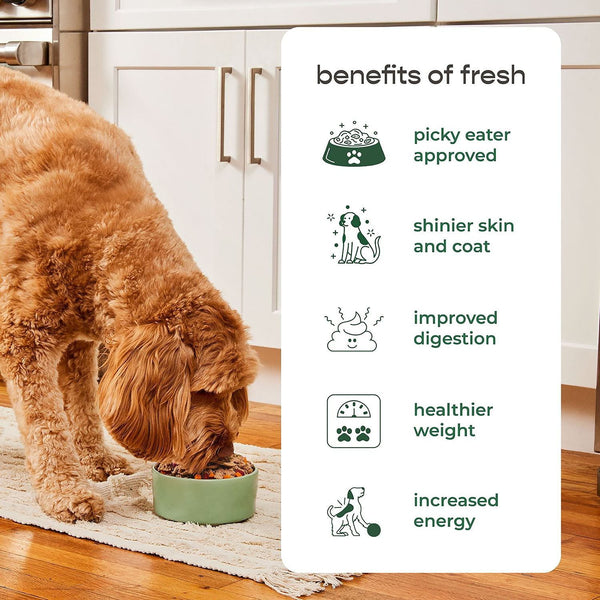 Freshpet Complete Nutrition Chicken Recipe Fresh Dog Food, 1.5 lb Rolls, 6 ct.