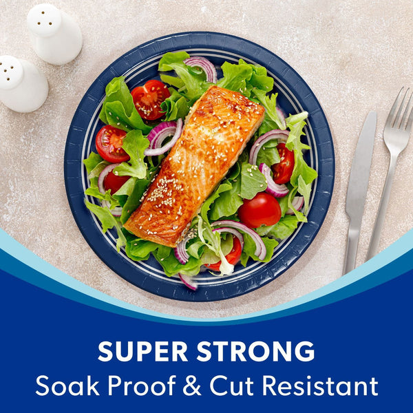 Indianapolis Colts NFL Round Paper Plates, 10