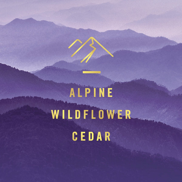 Febreze Bathroom Air Freshener, Calm Mix, 6 ct.