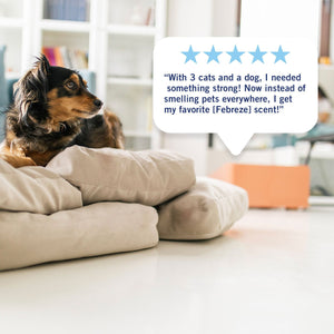 Febreze Plug Air Freshener, Refresh & Energize + Downy April Fresh, 5 refills, 4.35 fl. oz.