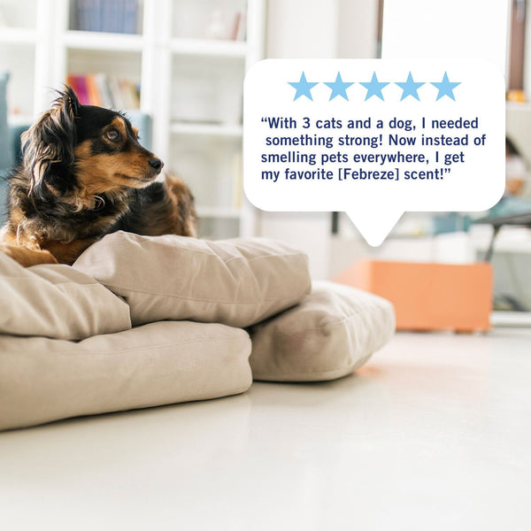 Febreze Plug Air Freshener, Refresh & Energize + Downy April Fresh, 5 refills, 4.35 fl. oz.