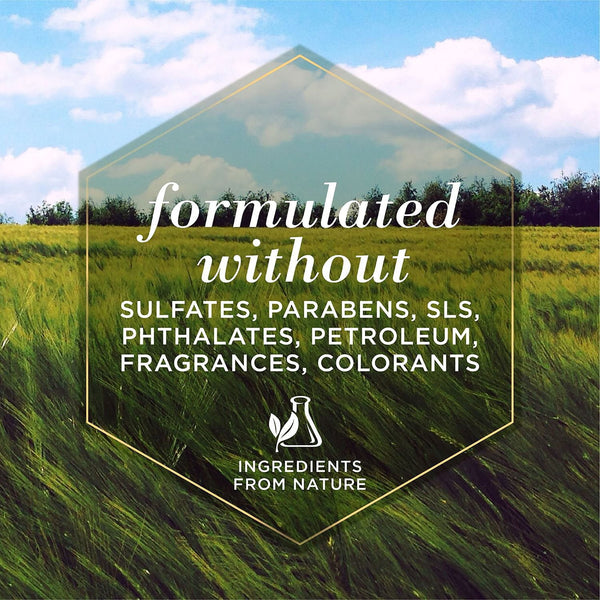 Burt's Bees, Oatmeal Dog Shampoo, 32 fl. oz., 2 pk.