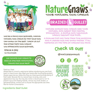 Nature Gnaws Beef Braid Dog Treat Chews, 1 lb.