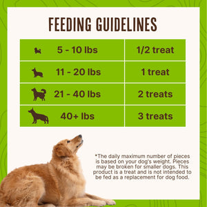 Waggin Train Chicken Jerky Dog Treats, 36 oz.