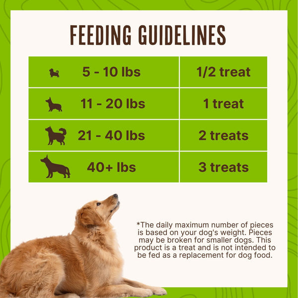 Waggin Train Chicken Jerky Dog Treats, 36 oz.