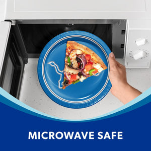 Detroit Lions NFL Round Paper Plates, 10