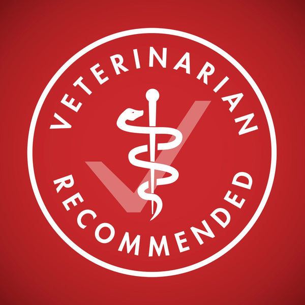 Purina ONE SmartBlend Natural Lamb and Rice, Adult Dry Dog Food, 44 lbs.