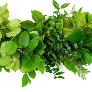 Member's Mark Garland, Western Greens, Choose length