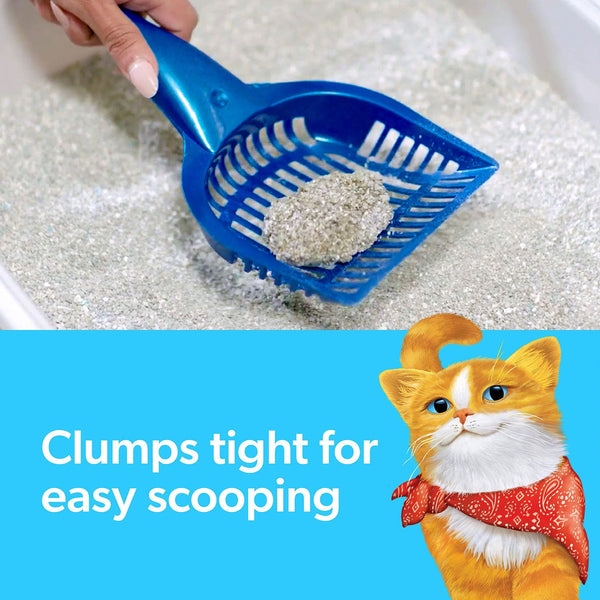 Fresh Step, Extreme Clumping Cat Litter with Febreze, Mountain Spring Scent, 42 lbs.
