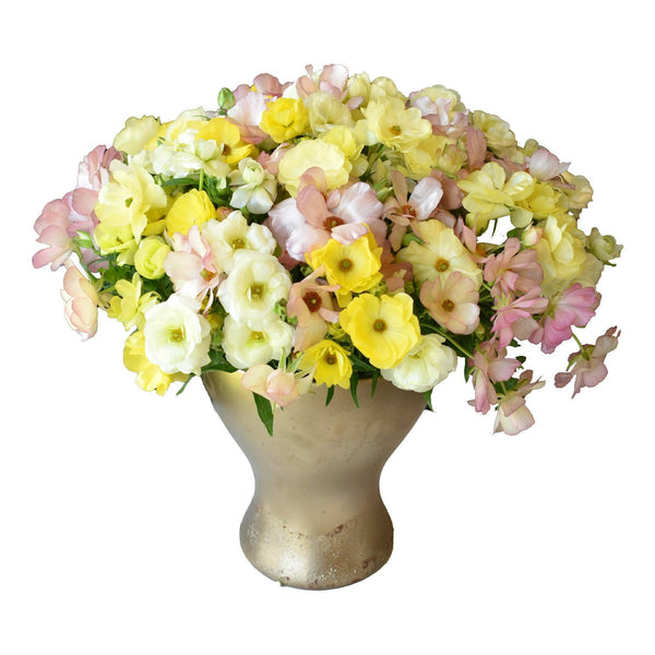 Member's Mark Butterfly Ranunculus, choose stem count