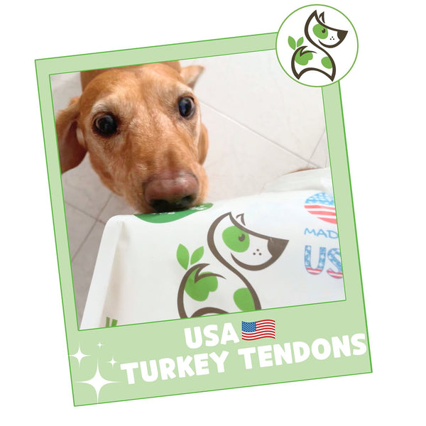 Nature Gnaws, USA Turkey Tendons Natural Dog Chews, 12 oz.