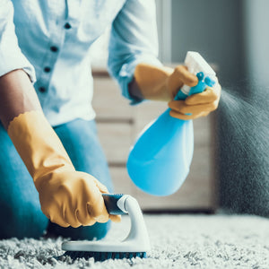 Member's Mark Commercial Carpet Cleaner Concentrate, 1 gal., 4 pk.