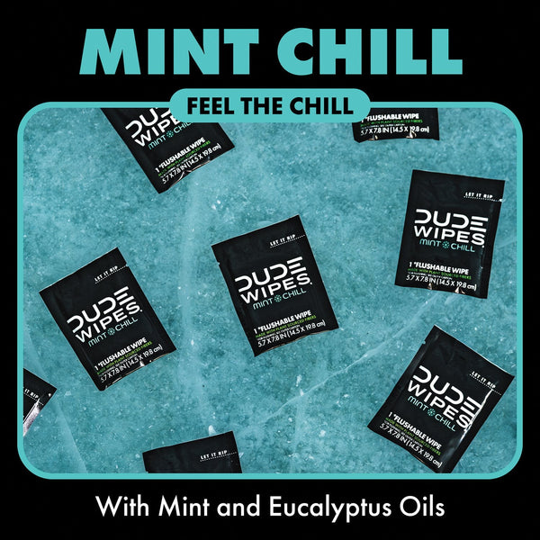 DUDE WIPES XL On-the-Go Flushable Wipes, Mint Chill, 4 ct., 120 wipes